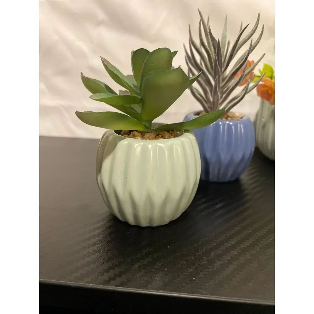 5 Cute‎ Little Artificial plants